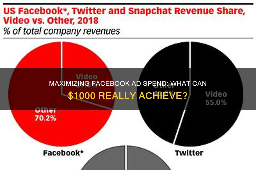 what will 1000 get me on facebook advertising