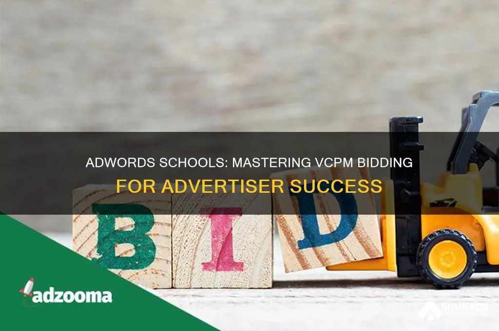 when an advertiser using vcpm bidding clicks adwords schools