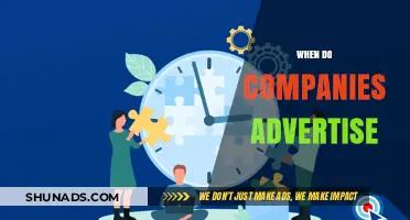 Strategic Timing: When Companies Advertise for Maximum Impact