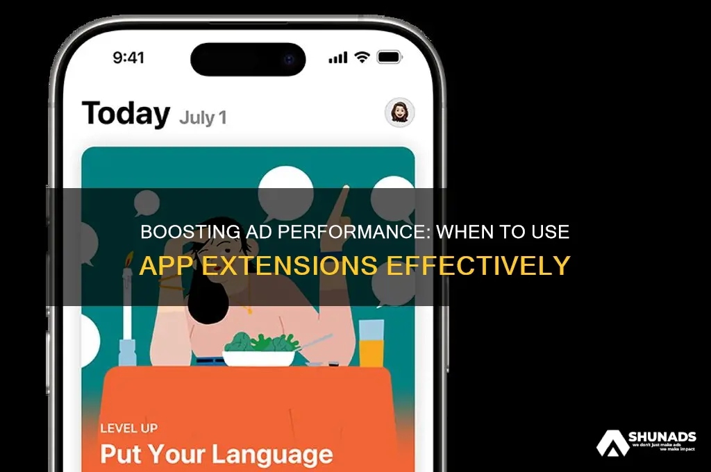 when should an advertiser use an app extension