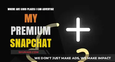 Top Platforms to Promote Your Premium Snapchat Effectively and Grow Subscribers