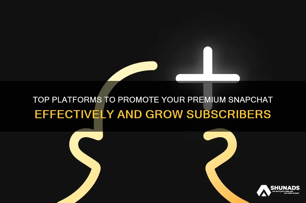 where are good places i can advertise my premium snapchat