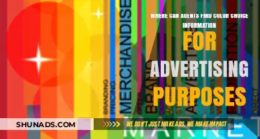 Where Agents Discover Color Choice Insights for Effective Advertising Strategies