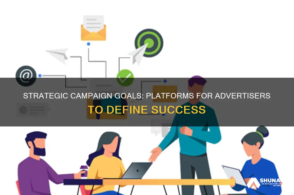 where can an advertiser set their campaign goal