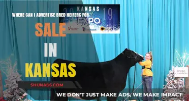 Top Platforms to Advertise Bred Heifers for Sale in Kansas