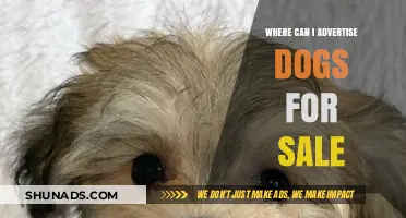 Top Platforms to Advertise Dogs for Sale Online Effectively
