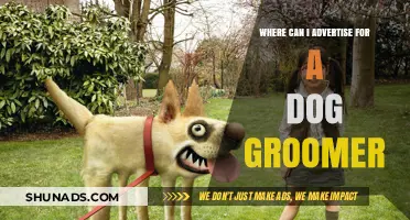 Top Places to Advertise Your Dog Grooming Business Effectively