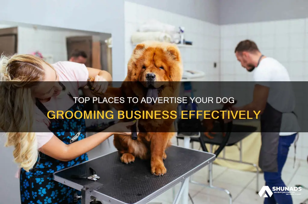 where can i advertise for a dog groomer