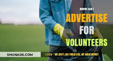 Effective Volunteer Recruitment: Top Platforms to Advertise Opportunities