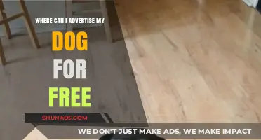 Free Dog Advertising: Top Platforms to Promote Your Pet