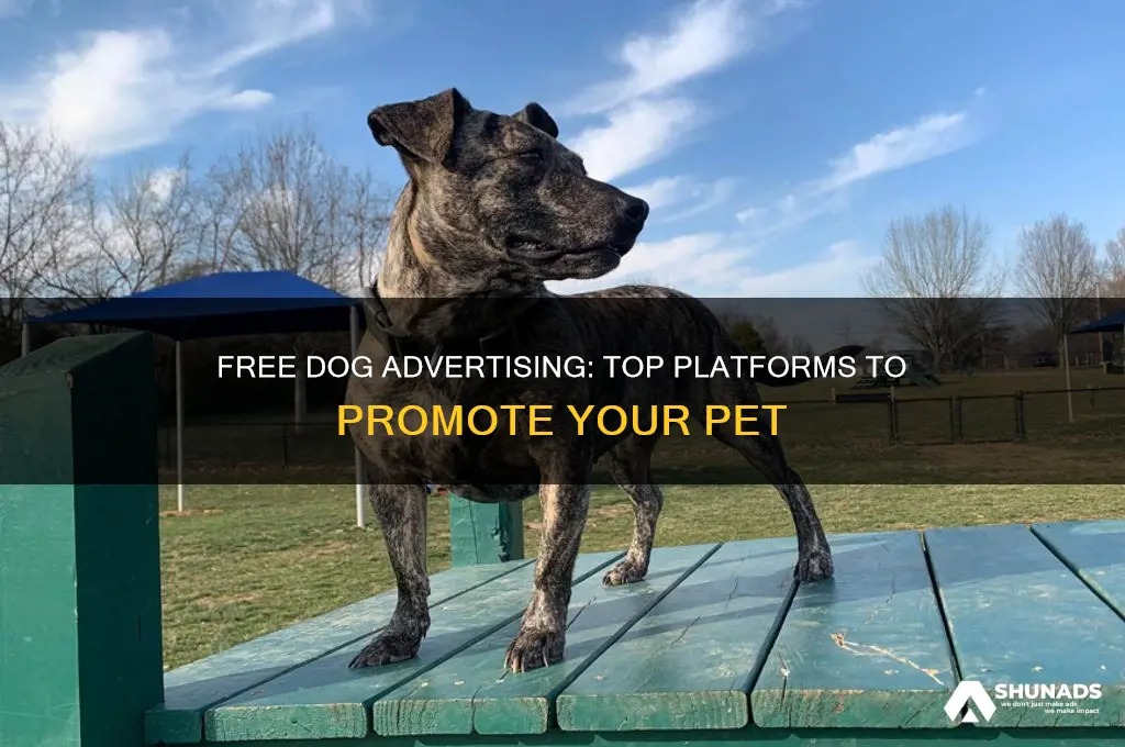 where can i advertise my dog for free