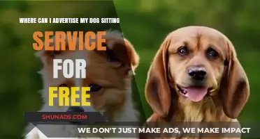 Free Advertising Tips: Promote Your Dog Sitting Service Online & Locally