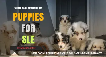 Top Platforms to Advertise Puppies for Sale Effectively and Responsibly