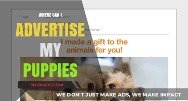 Top Platforms to Advertise Your Puppies for Quick Adoption