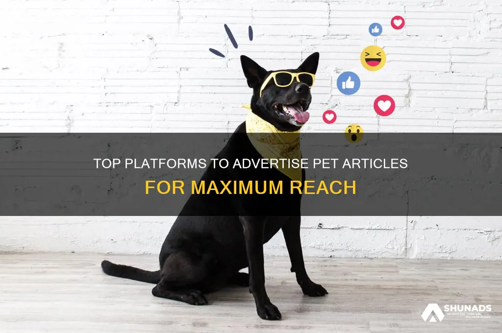 where can i advertise pet articles