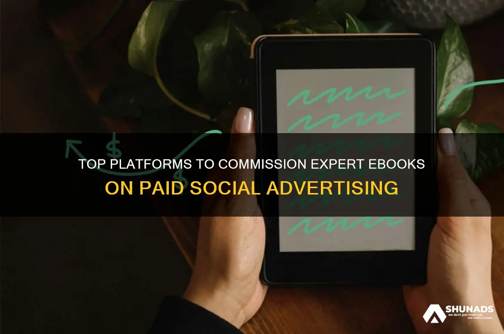 where can i commission an ebook on paid social advertising