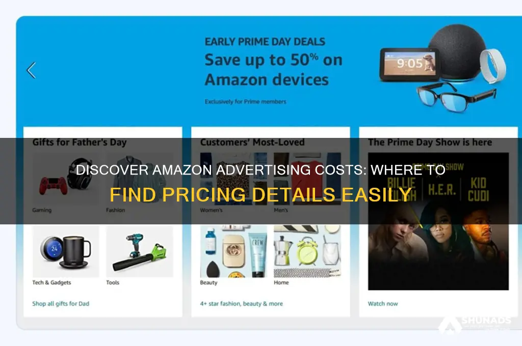 where can i find charges for amazon advertising