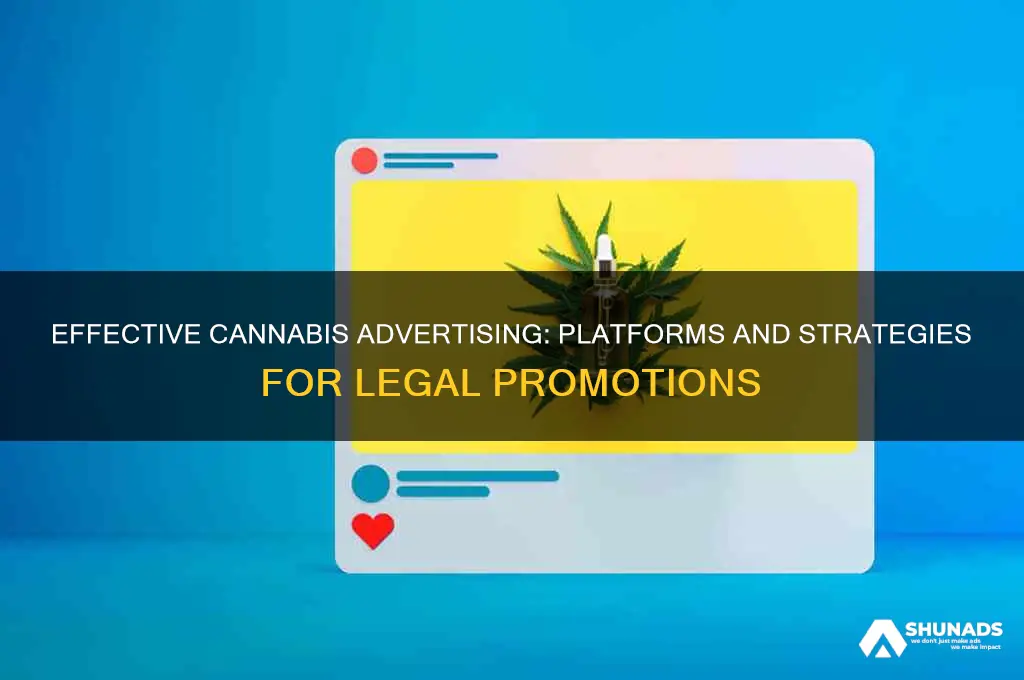 where can you advertise for canabis