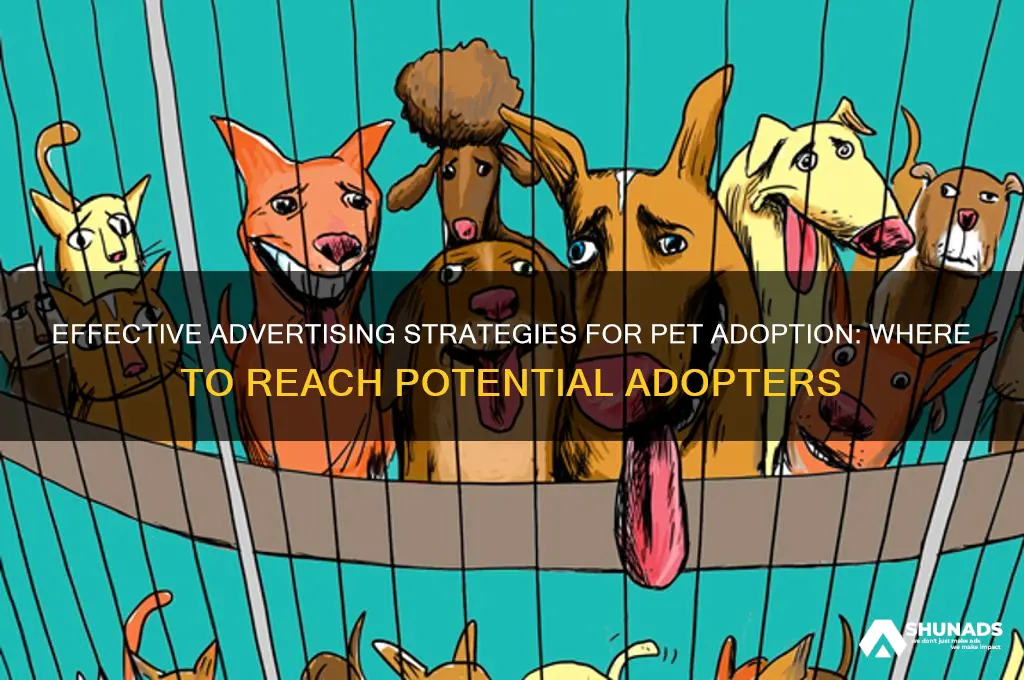 where can you advertise to adopt