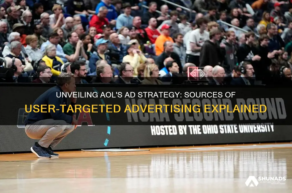 where does aol get advertising user sees