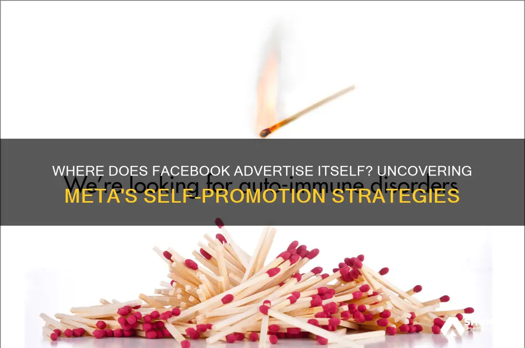 where does facebook advertise itself