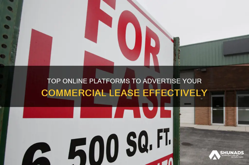 where on the internet can a commercial lease be advertised