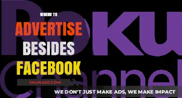 Beyond Facebook: Diverse Platforms to Amplify Your Advertising Reach