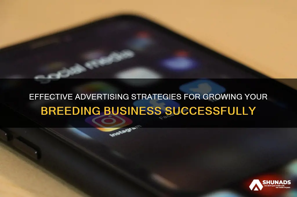 where to advertise breeding business
