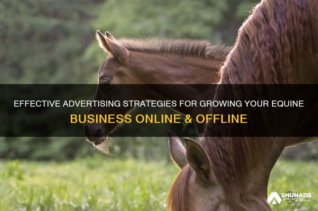 where to advertise my equine business