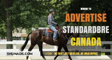 Top Advertising Strategies for Standardbred Canada: Maximize Reach and Impact