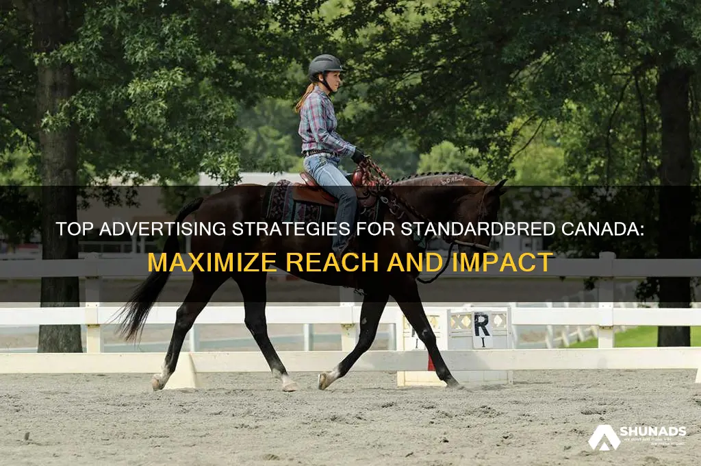 where to advertise standardbred canada