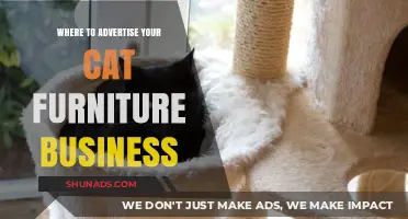 Top Spots to Promote Your Cat Furniture Business Effectively