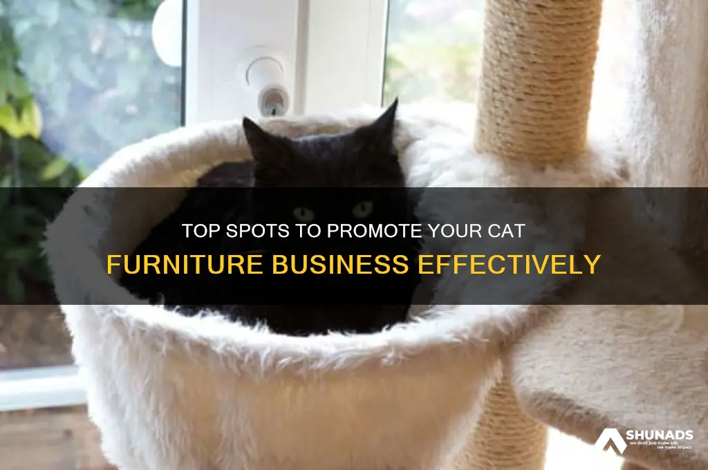 where to advertise your cat furniture business