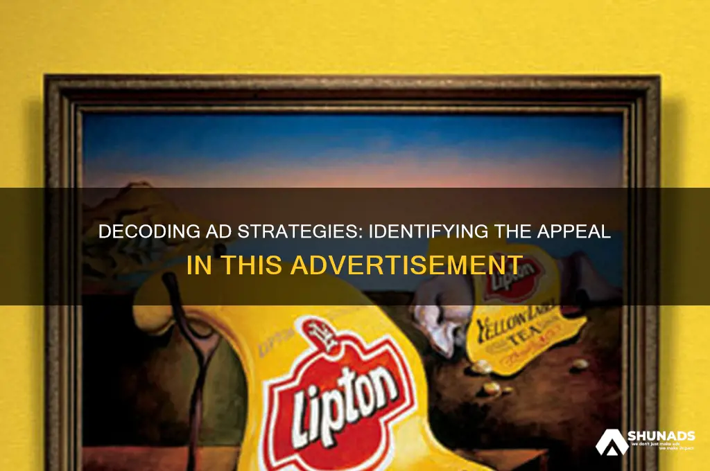 which advertising appeal is being used in the above advertisement