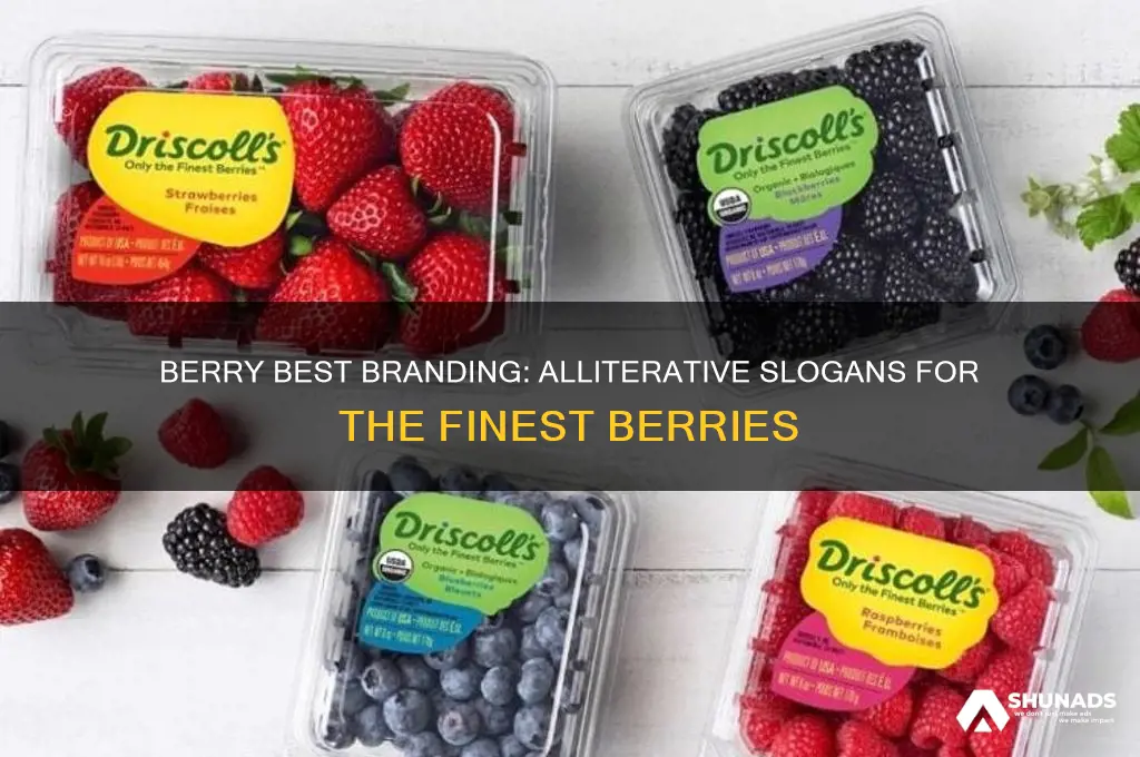which advertising slogan uses alliteration the finest berries