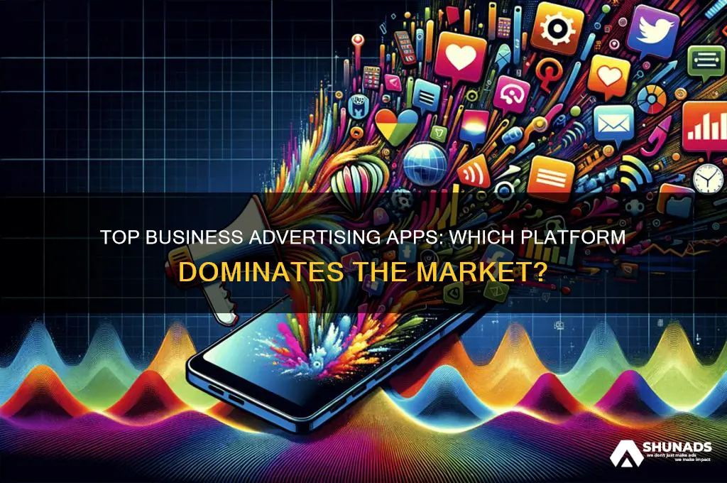 which app is most popular used by businesses for advertising