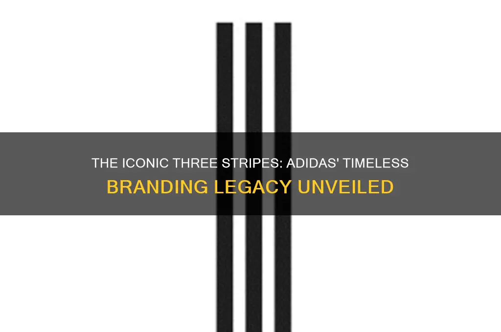 which brand has always used 3 stripes in it