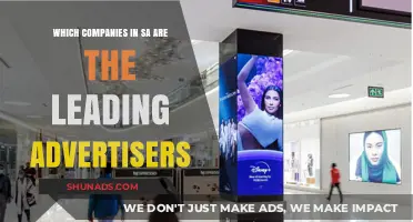 Top South African Companies Dominating the Advertising Landscape