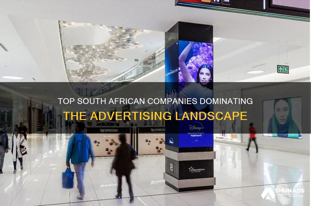 which companies in sa are the leading advertisers