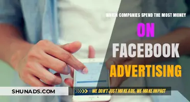 Top Facebook Ad Spenders: Which Companies Invest the Most?