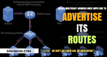 Understanding RIP v1's Multicast Address for Route Advertisements