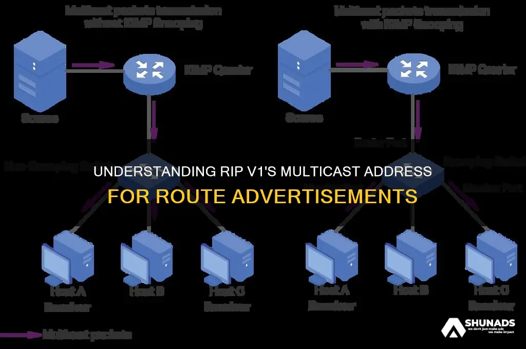 which multicast address does ripv1 use to advertise its routes