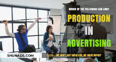 Key Factors That Can Limit Production in Advertising Campaigns