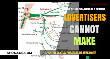 Unveiling Deceptive Ad Claims: Promises Advertisers Can't Legally Make