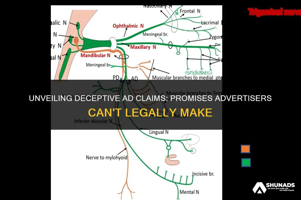 which of the following is a promise advertisers cannot make