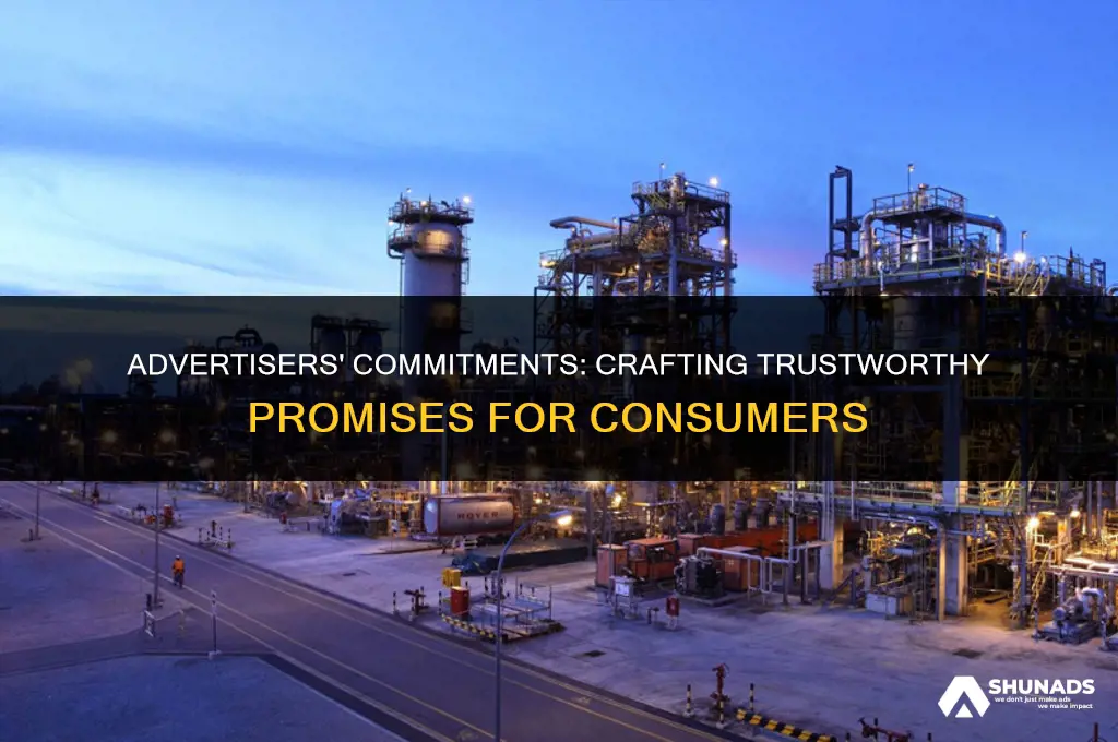 which of the following is a promise advertisers could make