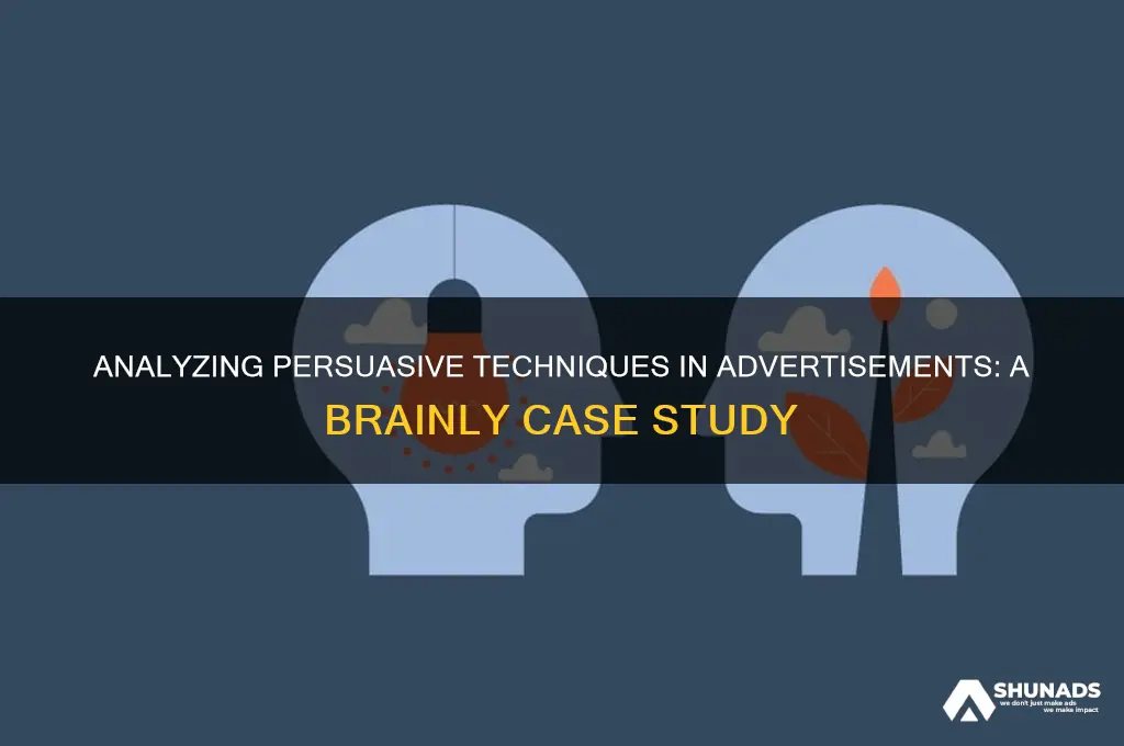 which persuasive media technique is used in this advertisement brainly