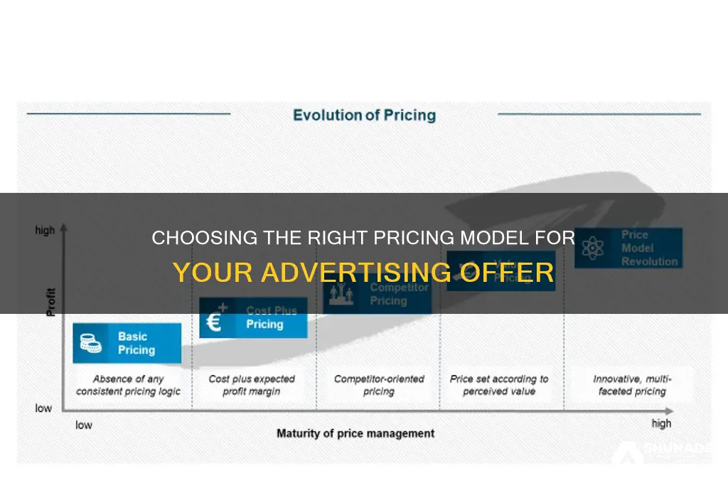 which pricing model should i use for my advertising offer