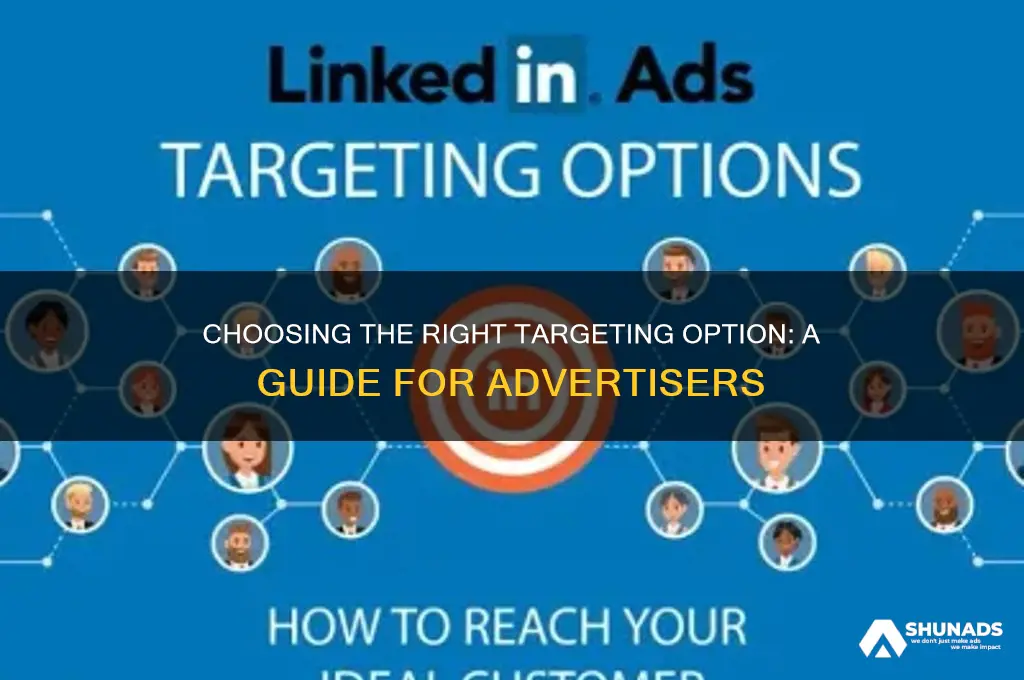 which targeting option should an advertiser use