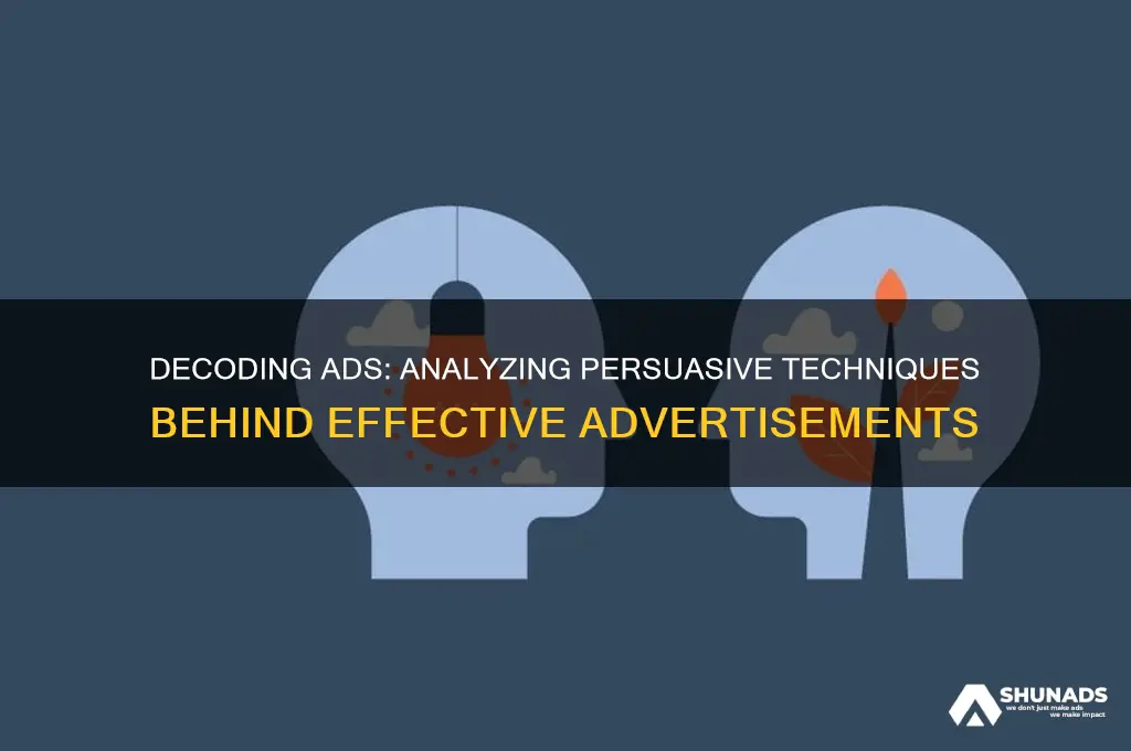 which technique does this advertisement use to achieve its purpose